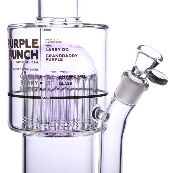 bong boogie project purple punch 2