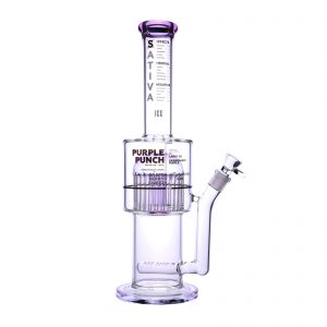 bong boogie project purple punch