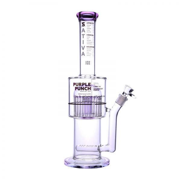 bong boogie project purple punch